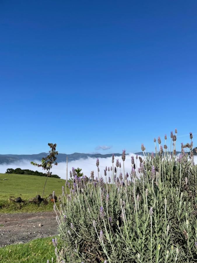 Pousada Colina Dos Ventos - Cabana Alpha Urubici Exteriör bild